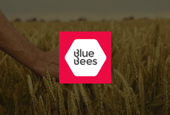 Blue Bees – Project Le Champs Du Moulin - zwart-wit
